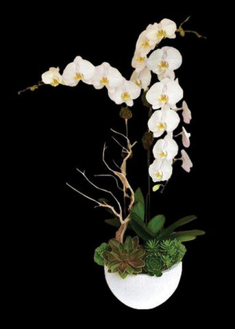 Divine Orchids - Laguna Beach Florist 