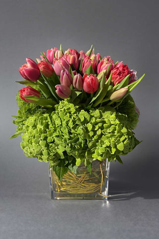 Modern low profile arrangement of tulips and green hydrangeas