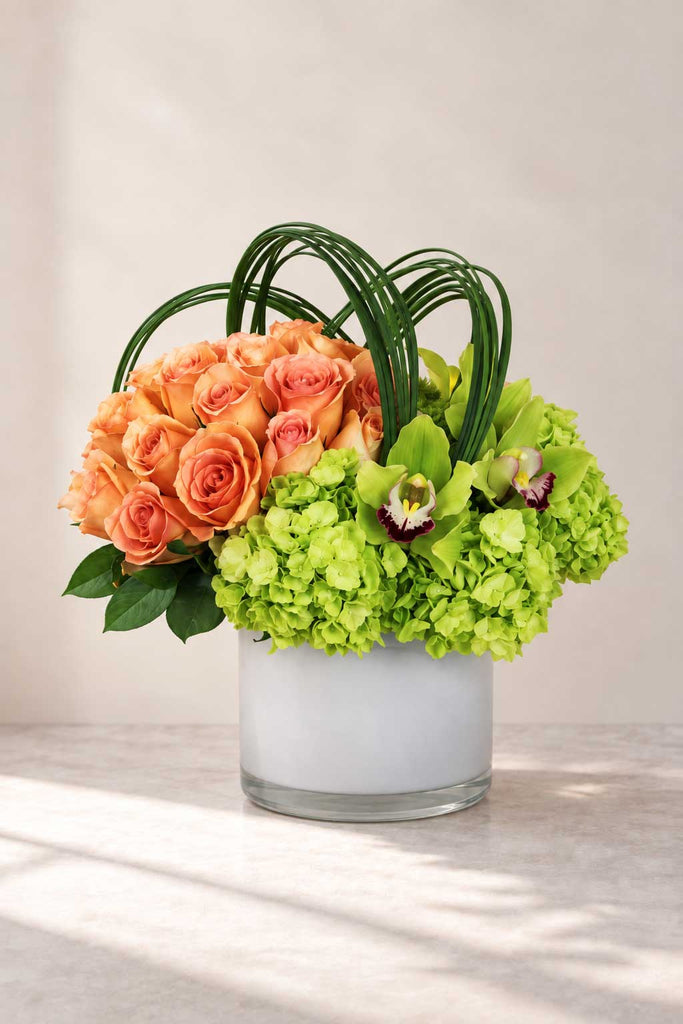 Peach roses, green hydrangeas, and green cymbidium orchids arranged in a white cylinder vase with looping beargrass.