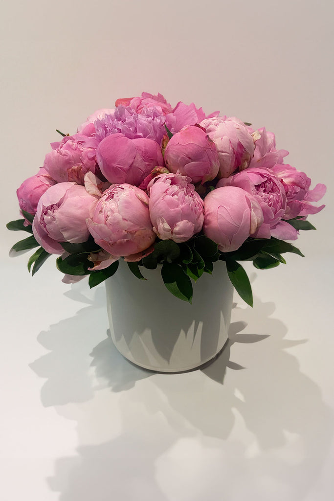 Pink Peonies arranged in a white vase