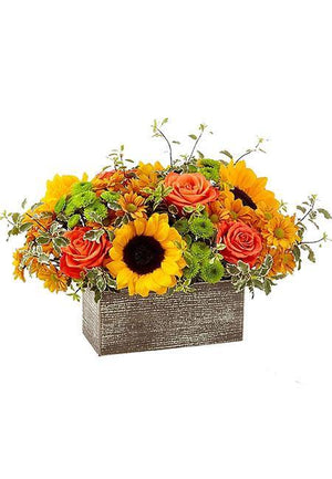 Burst of Autumn - Laguna Beach Florist 