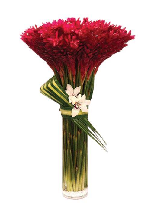 Order Tropical Flowers in Laguna Beach Laguna Beach Florist Laguna