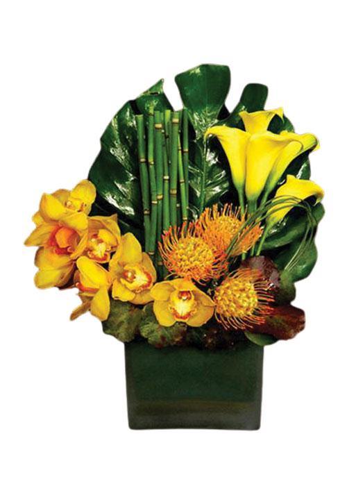 Order Tropical Flowers in Laguna Beach Laguna Beach Florist Laguna