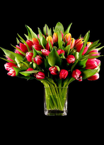 Tulips Treasure - Laguna Beach Florist 